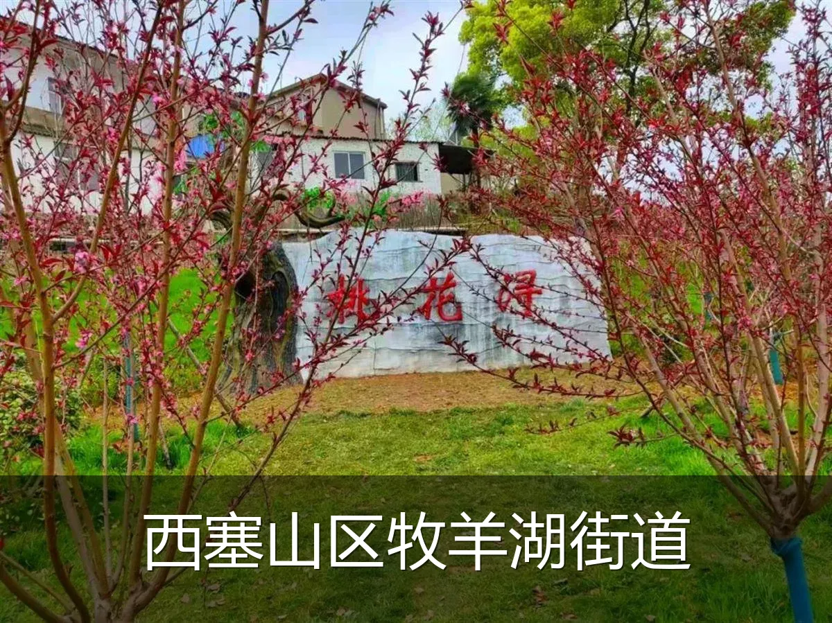 西塞山区牧羊湖街道